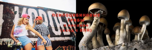 скорость Богородск
