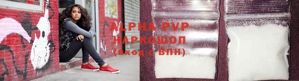 ГАЛЛЮЦИНОГЕННЫЕ ГРИБЫ Богданович