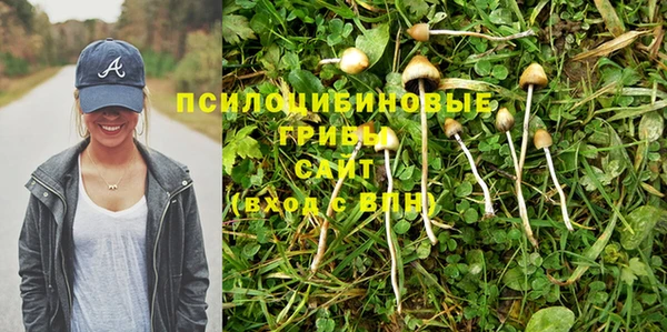 прущая мука Богородицк