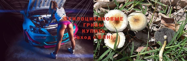 ГАЛЛЮЦИНОГЕННЫЕ ГРИБЫ Богданович