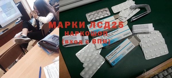 ГАЛЛЮЦИНОГЕННЫЕ ГРИБЫ Богданович