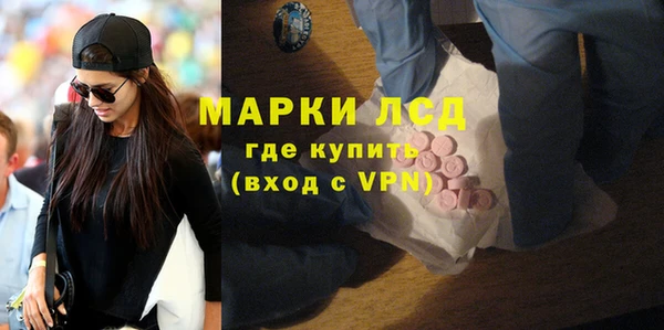 ГАЛЛЮЦИНОГЕННЫЕ ГРИБЫ Богданович