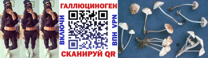 Псилоцибиновые грибы Psilocybe Беслан